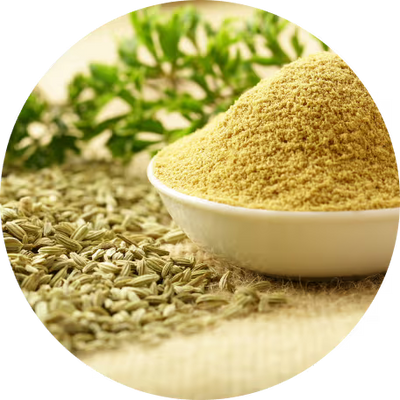 Fennel Seed Extract 