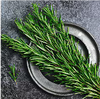Rosemary Extract